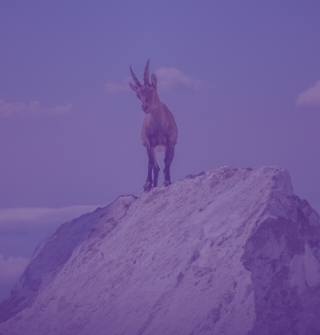 Banner_Mob_Neg-Imobiliarios