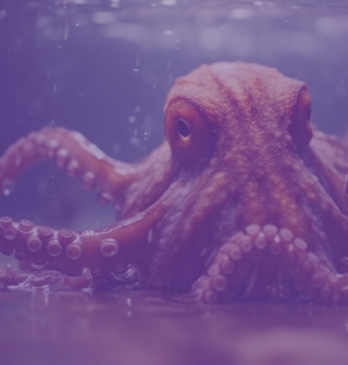 Banner_Mob_Tributario