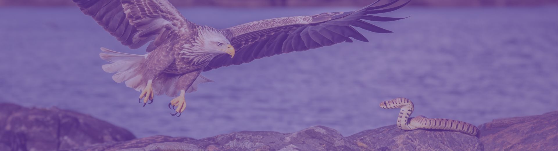 Foto Contencioso Estratégico