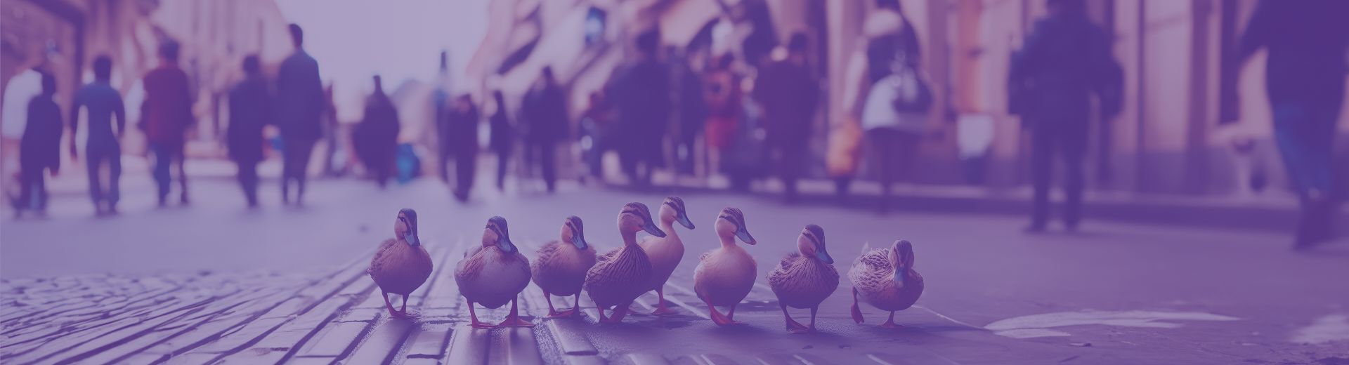 Foto Direito Urbanístico e Registral