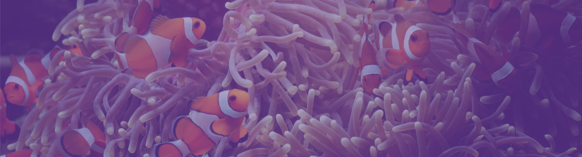 Foto Direito Societário