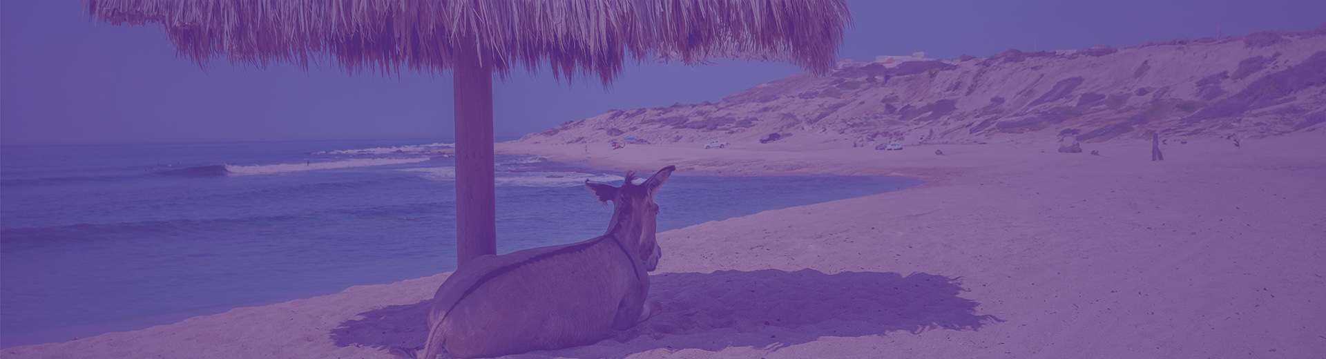 Foto Planejamento Patrimonial e Sucessório