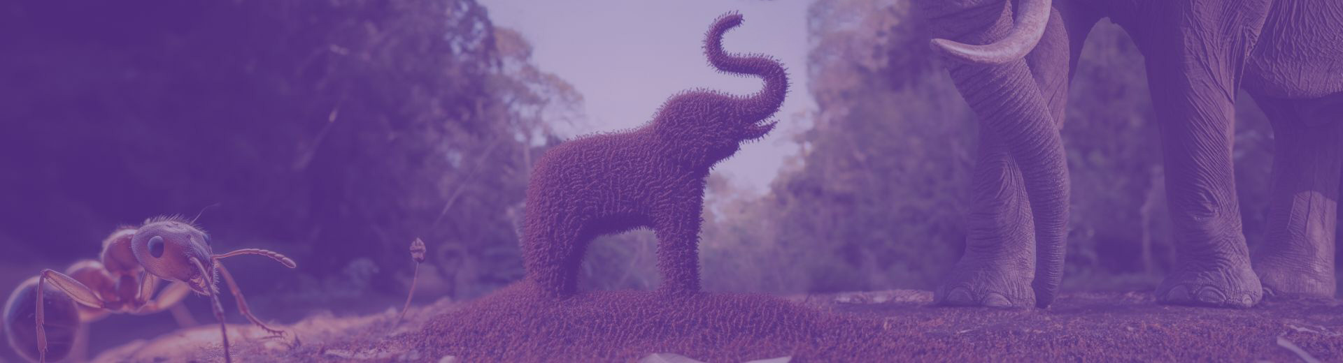 Foto Direito Administrativo