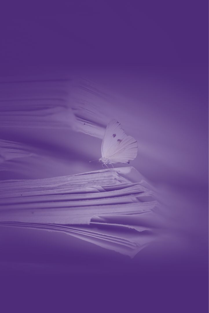 capa_mobile_borboleta_alta_OK