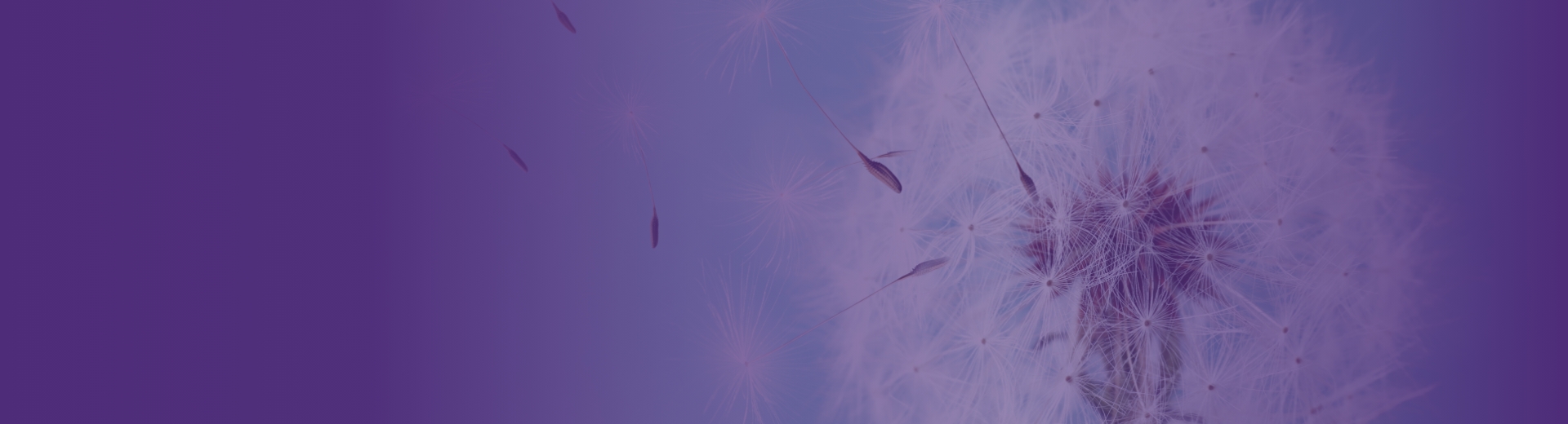 Foto Responsabilidade Social e Pro Bono