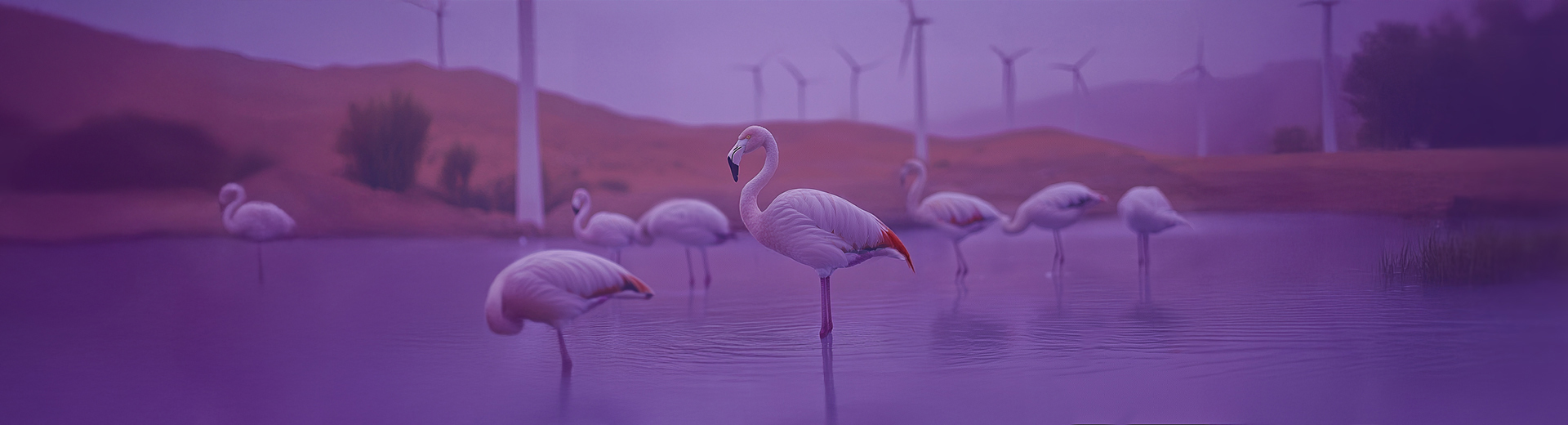 Foto Direito Ambiental